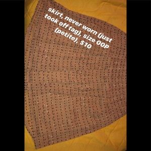 a skirt, never worn just took off the tag